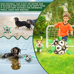 Interactive Outdoor Dog Football Training Toys - Innohive