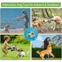 Interactive Outdoor Dog Football Training Toys - Innohive