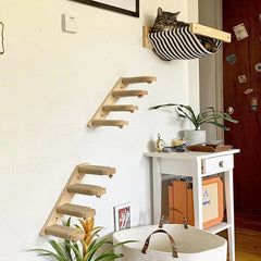 Wall Mounted Cat Climbing Shelf With Sisal - Innohive