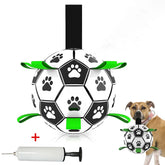 Interactive Outdoor Dog Football Training Toys - Innohive