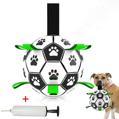 Interactive Outdoor Dog Football Training Toys - Innohive