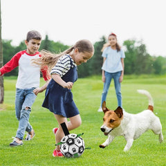 Interactive Outdoor Dog Football Training Toys - Innohive