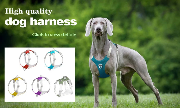 2-in-1 Soft Silicone Pet Pet Massage Comb - Innohive