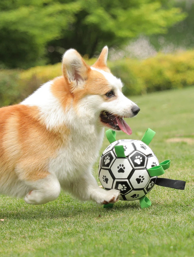 Interactive Outdoor Dog Football Training Toys - Innohive