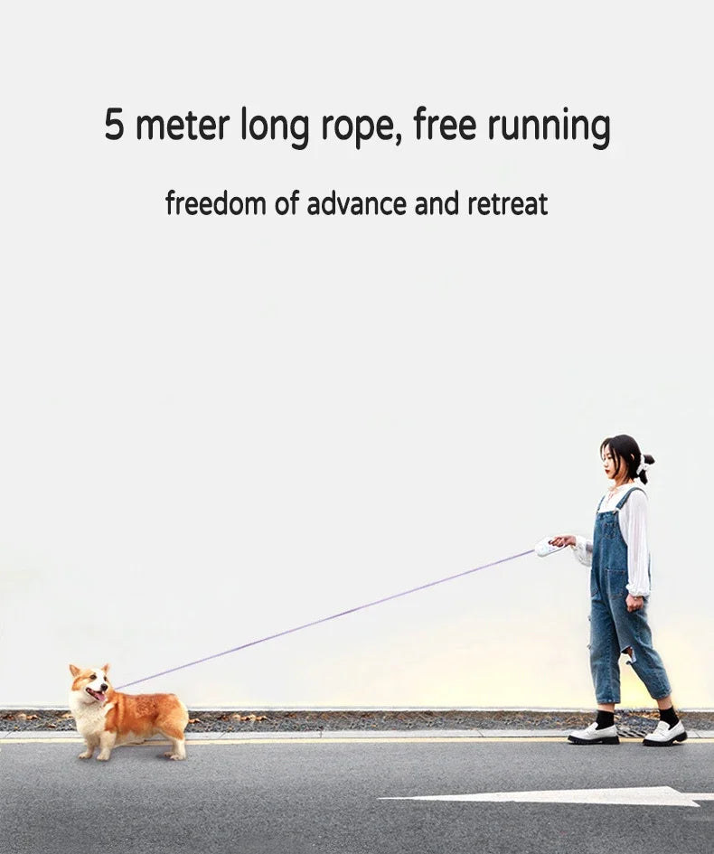 LED Retractable Dog Leash with Light - Innohive