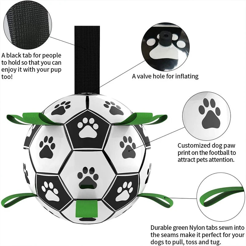 Interactive Outdoor Dog Football Training Toys - Innohive