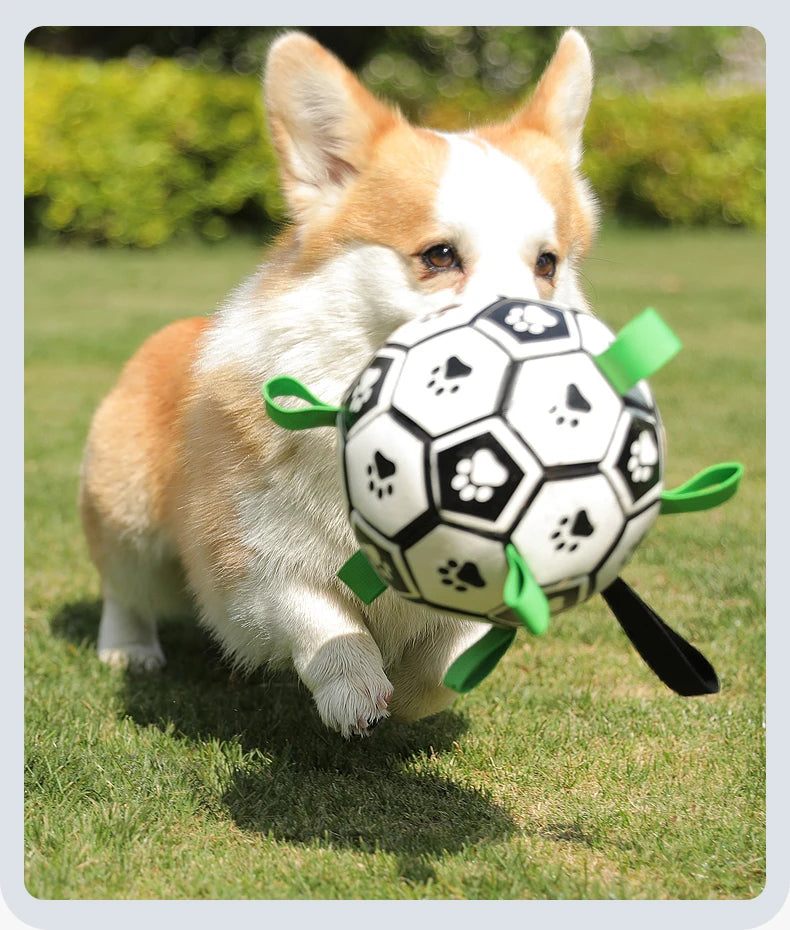 Interactive Outdoor Dog Football Training Toys - Innohive