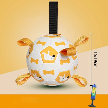 Interactive Outdoor Dog Football Training Toys - Innohive