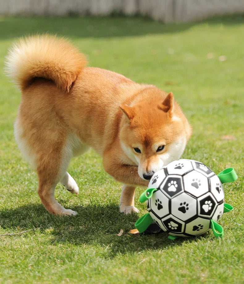 Interactive Outdoor Dog Football Training Toys - Innohive
