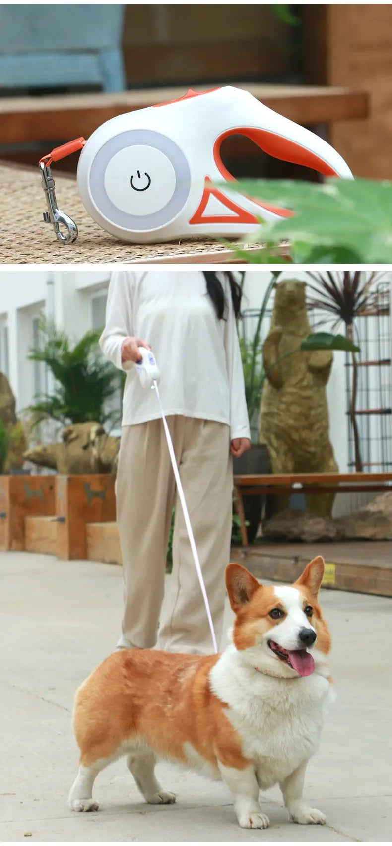 LED Retractable Dog Leash with Light - Innohive