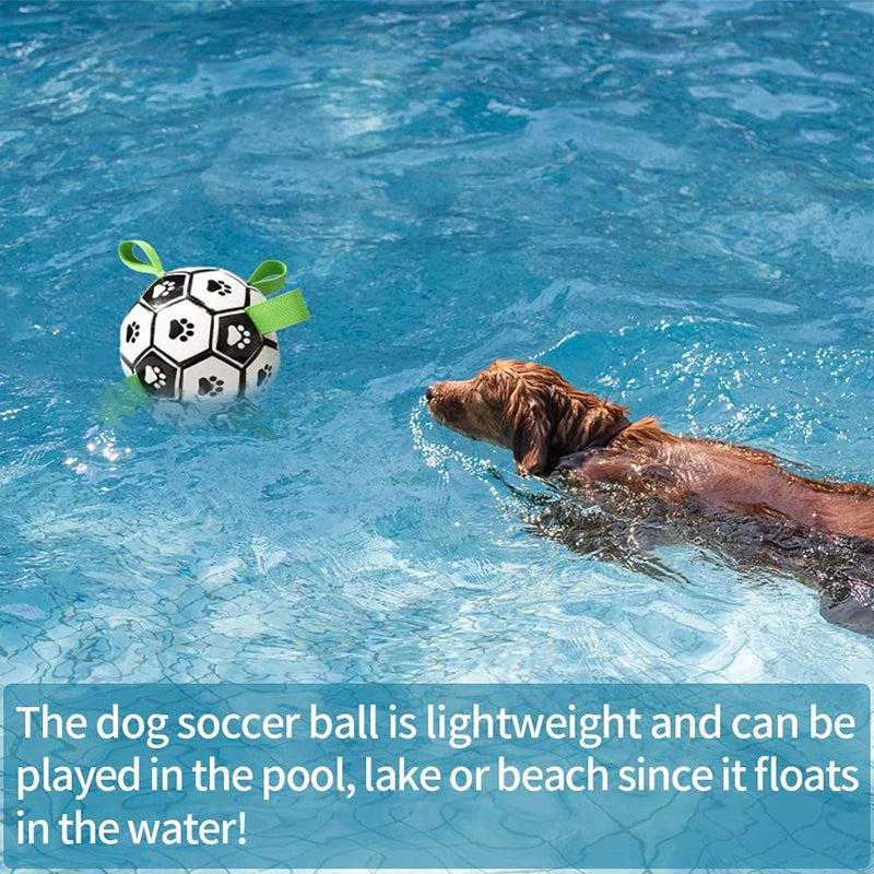 Interactive Outdoor Dog Football Training Toys - Innohive