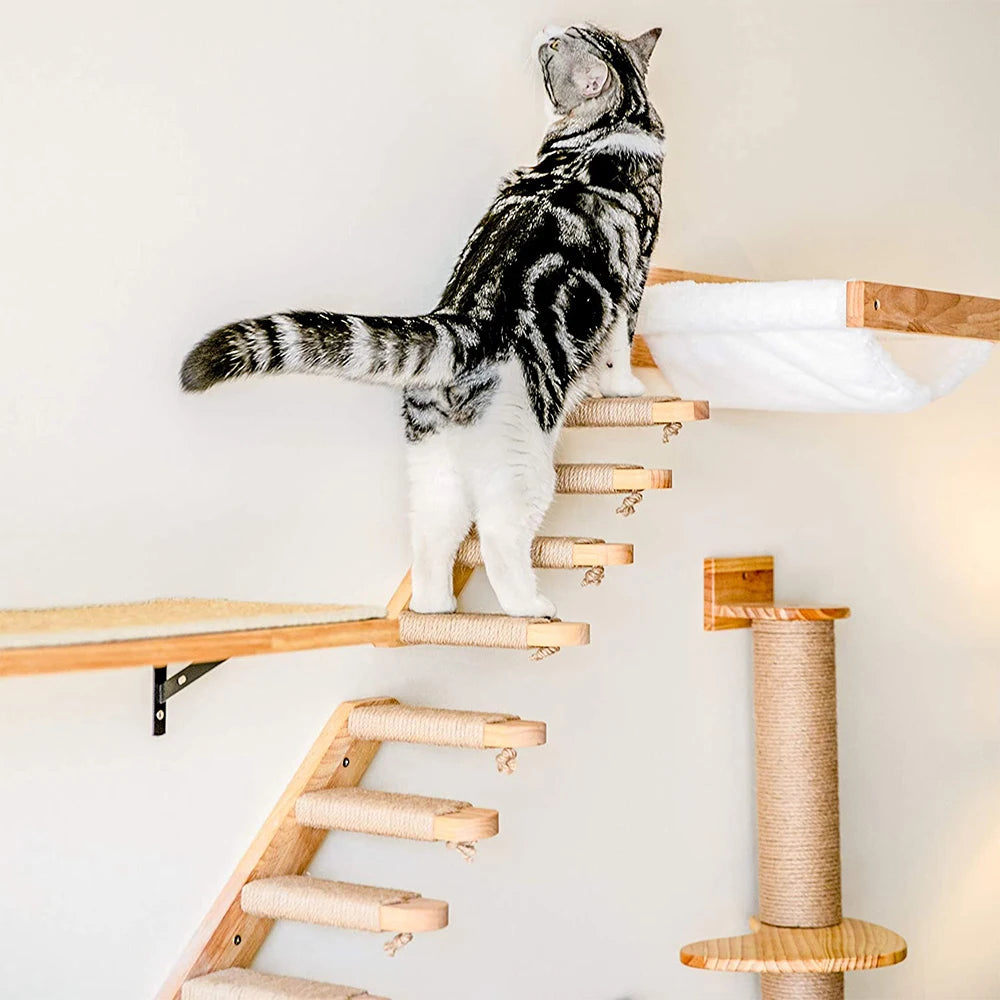 Wall Mounted Cat Climbing Shelf With Sisal - Innohive
