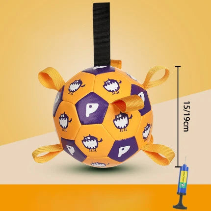Interactive Outdoor Dog Football Training Toys - Innohive