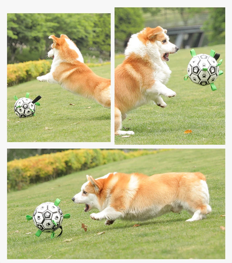 Interactive Outdoor Dog Football Training Toys - Innohive
