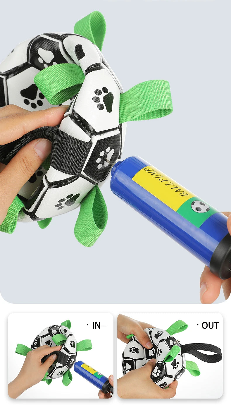 Interactive Outdoor Dog Football Training Toys - Innohive